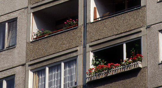 Thumbnail for 7060698