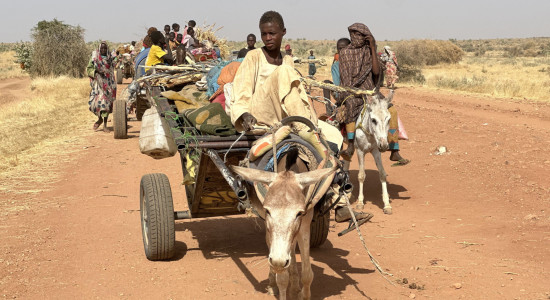 Thumbnail for 7061055