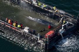 Thumbnail for 7061521