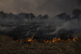 Thumbnail for 7061524