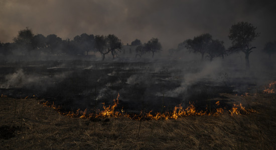 Thumbnail for 7061524