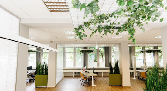 Thumbnail for 7061760