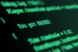 Thumbnail for 7061884