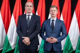 Thumbnail for 7061886