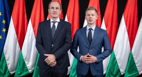 Thumbnail for 7061886