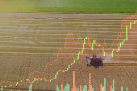 Thumbnail for 7062272