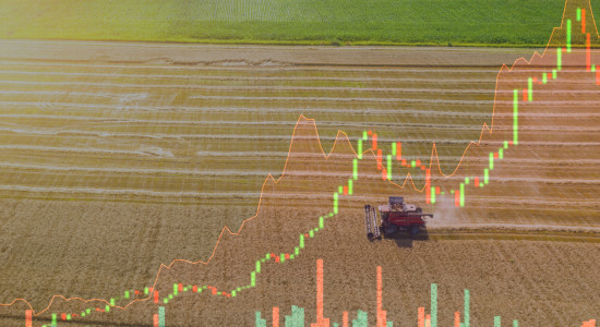 Thumbnail for 7062272