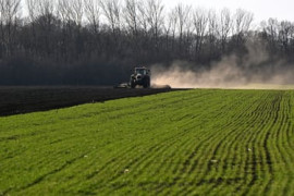 Thumbnail for 7062454