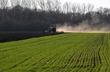 Thumbnail for 7062454