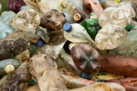 Thumbnail for 7062725