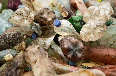 Thumbnail for 7062725