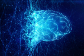 Thumbnail for 7063171