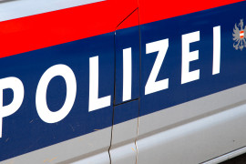 Thumbnail for 7063189