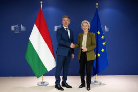 Thumbnail for 7063198