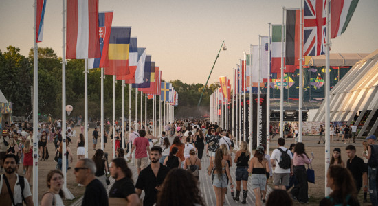 Thumbnail for 7063546