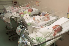 Thumbnail for 7063562