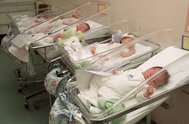 Thumbnail for 7063562