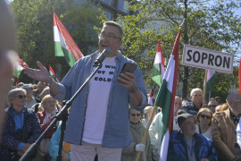 Thumbnail for 7063566