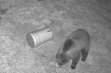 Thumbnail for 7063633