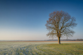 Thumbnail for 7063659