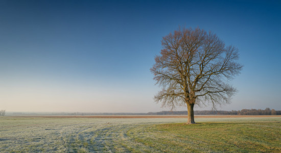 Thumbnail for 7063659