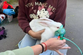 Thumbnail for 7063663