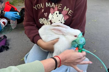 Thumbnail for 7063663