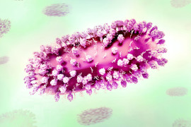 Thumbnail for 7063770