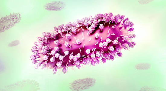 Thumbnail for 7063770