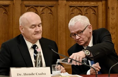 Thumbnail for 7063772