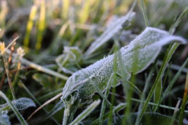 Thumbnail for 7063936