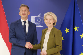 Thumbnail for 7063957