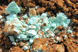 Thumbnail for 7064075