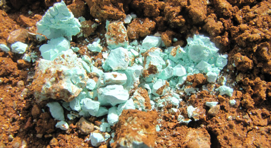 Thumbnail for 7064075