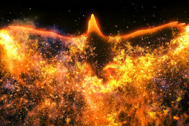 Thumbnail for 7064140