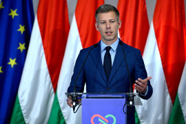 Thumbnail for 7064147