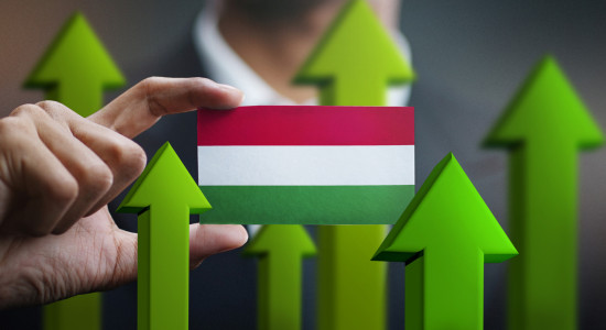 Thumbnail for 7064149