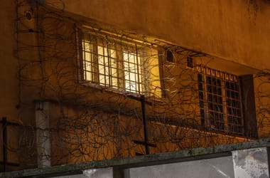 Thumbnail for 7064184