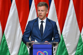 Thumbnail for 7064378