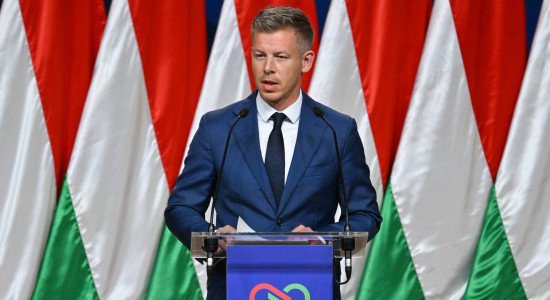 Thumbnail for 7064378