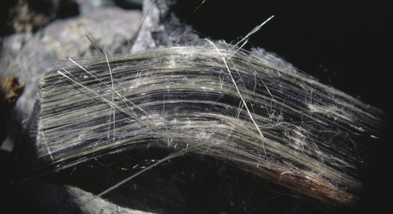 Thumbnail for 7064473