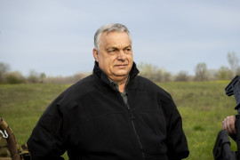 Thumbnail for 7064606