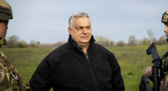 Thumbnail for 7064606