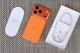 Thumbnail for 7069065