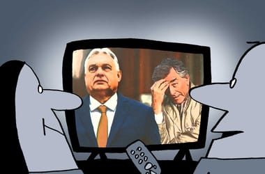 Thumbnail for 7074435