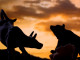 Thumbnail for 7084226