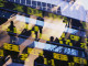 Thumbnail for 7085731