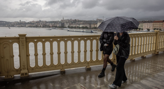 Thumbnail for 7088359
