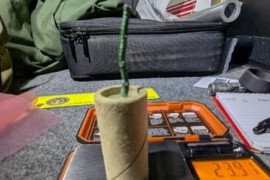 Thumbnail for 7115494