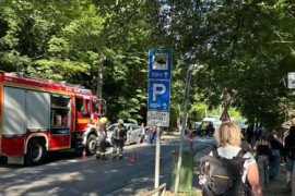 Thumbnail for 7130719